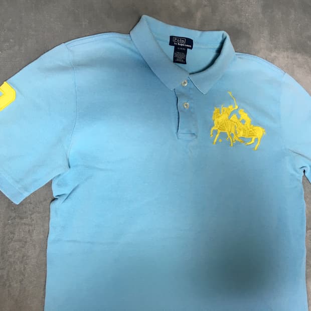 폴로 랄프로렌 빅포니