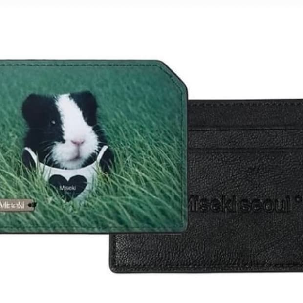 [새상품] 미세키서울 기니피그 카드지갑
