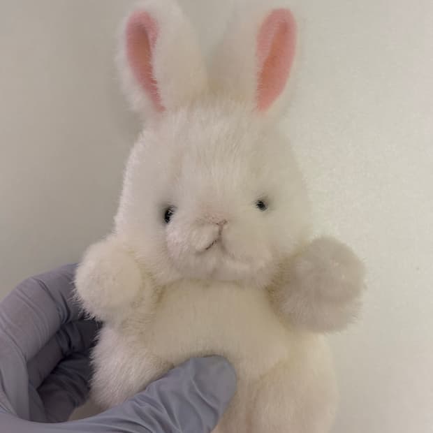 TAKENOKO JOYFUL MATES 조이풀메이트 토끼 인형