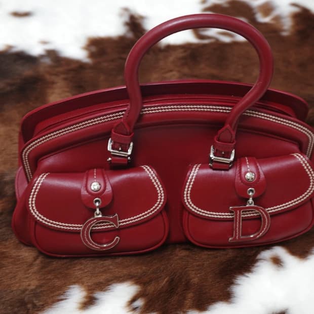 dior detective bag w