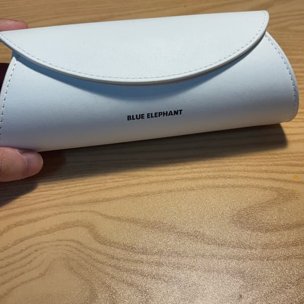 블루앨리펀트 선글라스