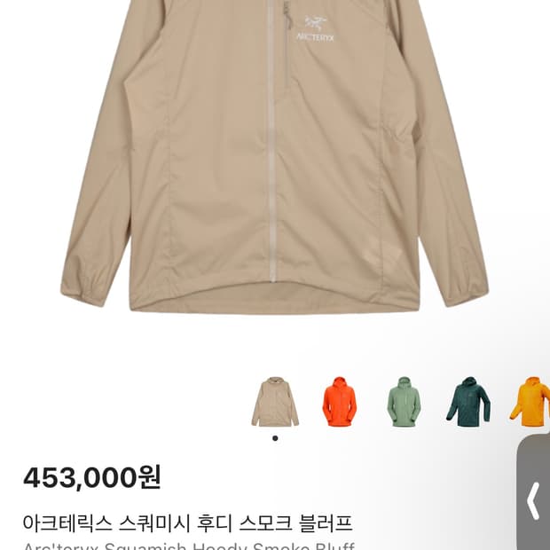 아크테릭스 스쿼미시 후디 스모크 블러프 M