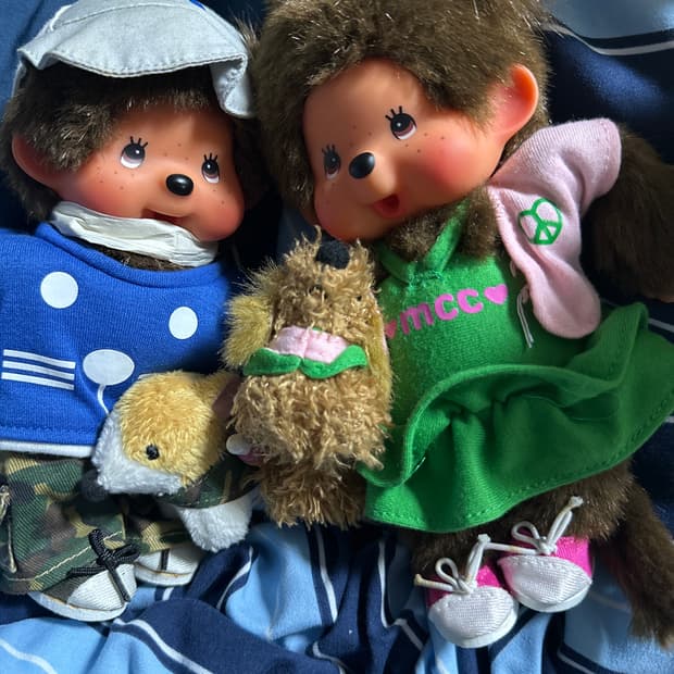 일괄) 희귀매물 힙한 강아지 산책 몬치치