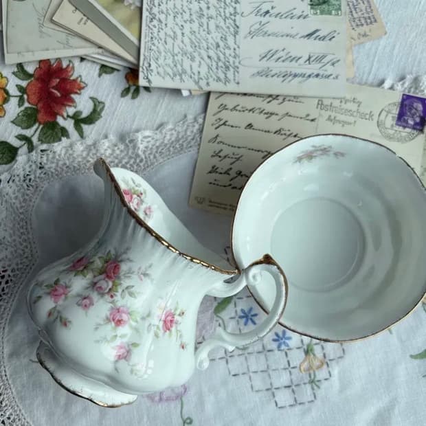 파라곤 빅토리아나로즈 라지슈크세트(이슈)