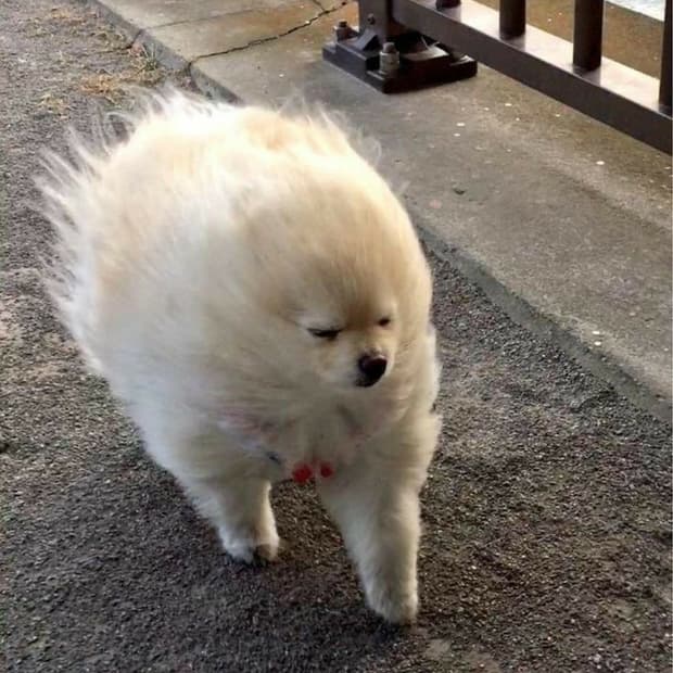 .