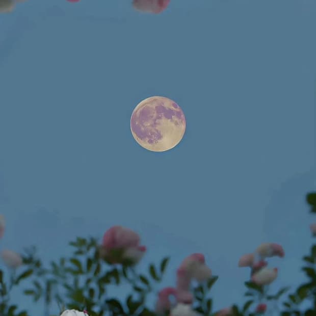 썬글라스 결제창