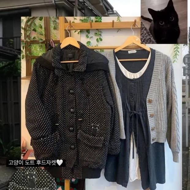 하나모토 빈티지 고양이 도트 모리걸 후드 자켓