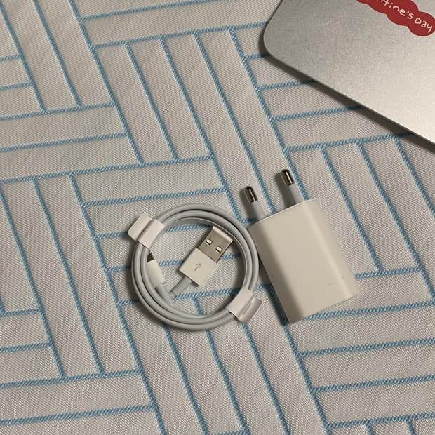 Apple 아이폰 정품 8핀 충전기 단자와 줄