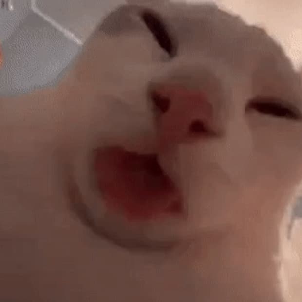 아크로님 3a-1 구매 원합니다