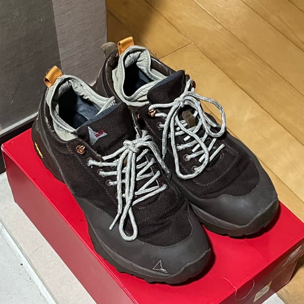 [43] 로아 닐 브라운