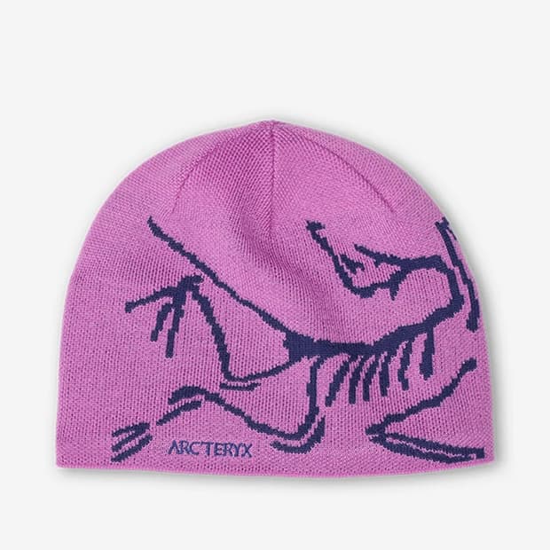 아크테릭스 버드 헤드 핑크비니 