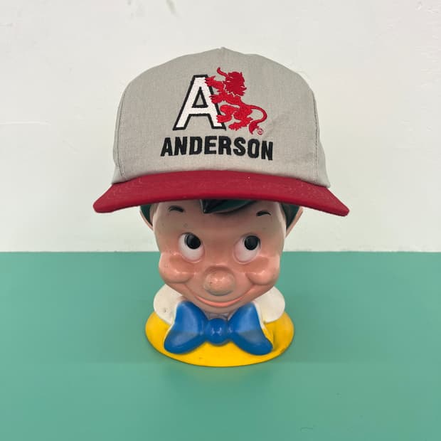 vtg 앤더슨 ANDERSSON A LION 모자 트러커 리처드슨스냅