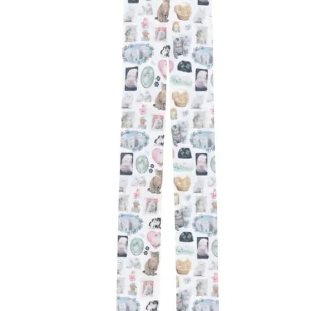 애슐리윌리엄스 캣 고양이 스타킹