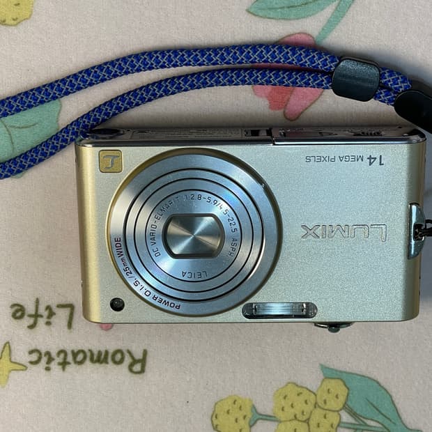 파나소닉 DMC-FX66
