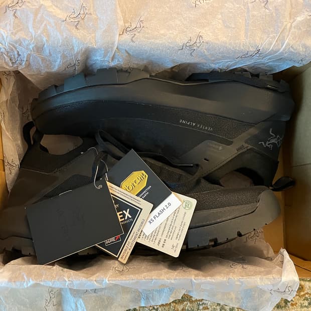 아크테릭스 버텍스 알파인 GTX