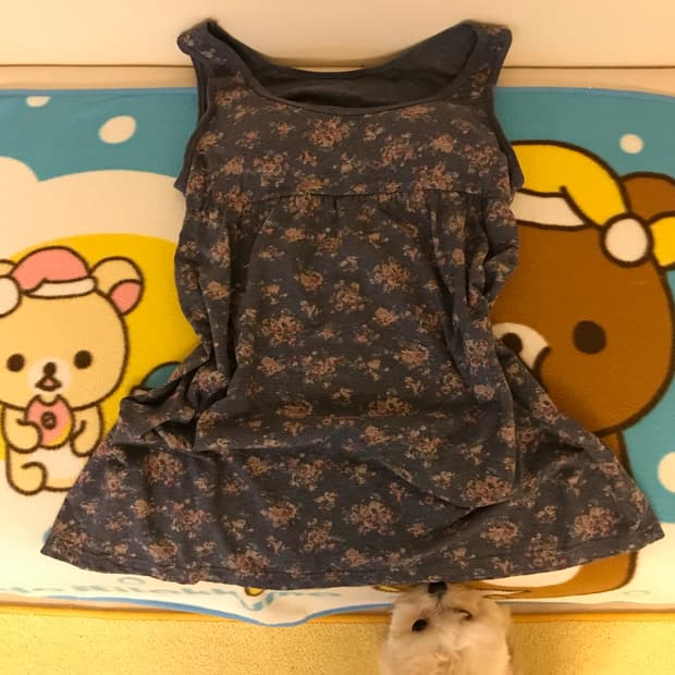 마루빈티지 잔꽃 캡나시