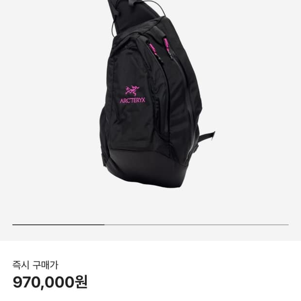 아크테릭스 시스템a 퀴버백