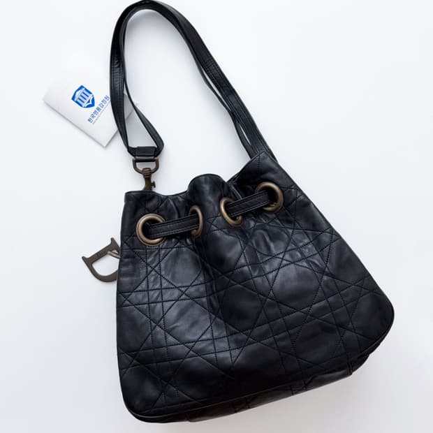 디올 까나쥬 버킷백