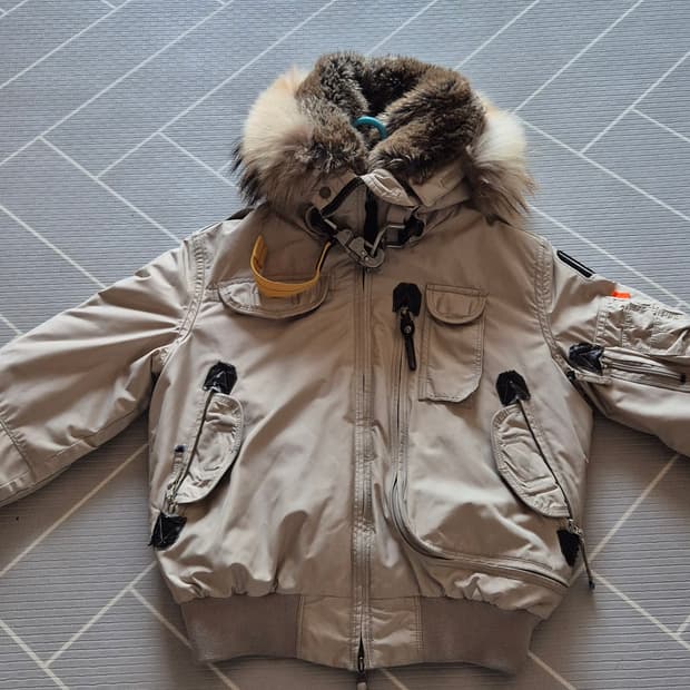 파라점퍼스 고비s