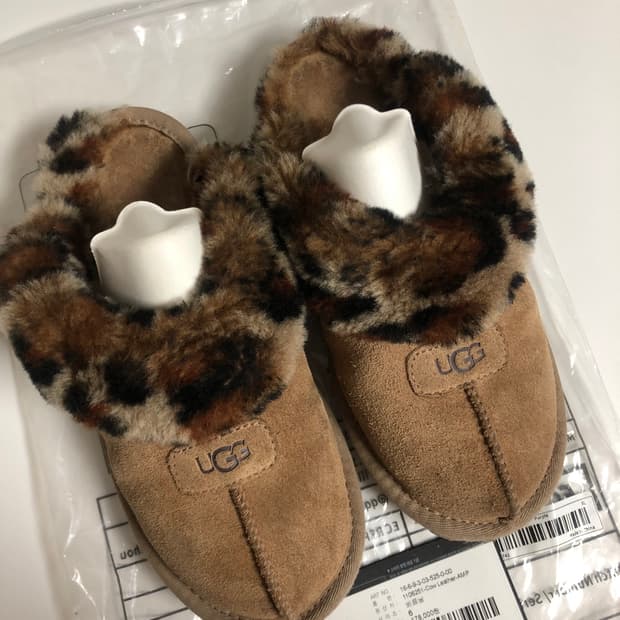 미국 어그 코게트 6사이즈