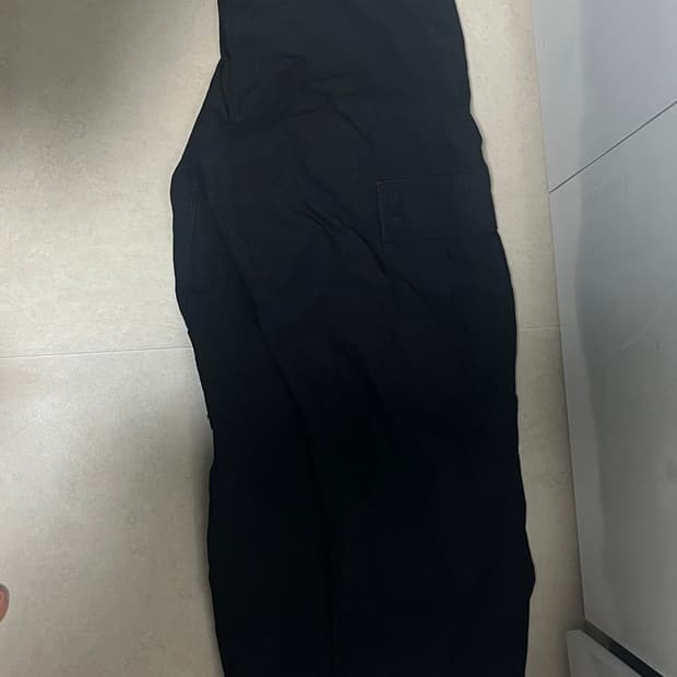 칼하트 카고팬츠