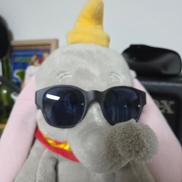 Carhartt WIP x RSF 선글라스 (italy made)