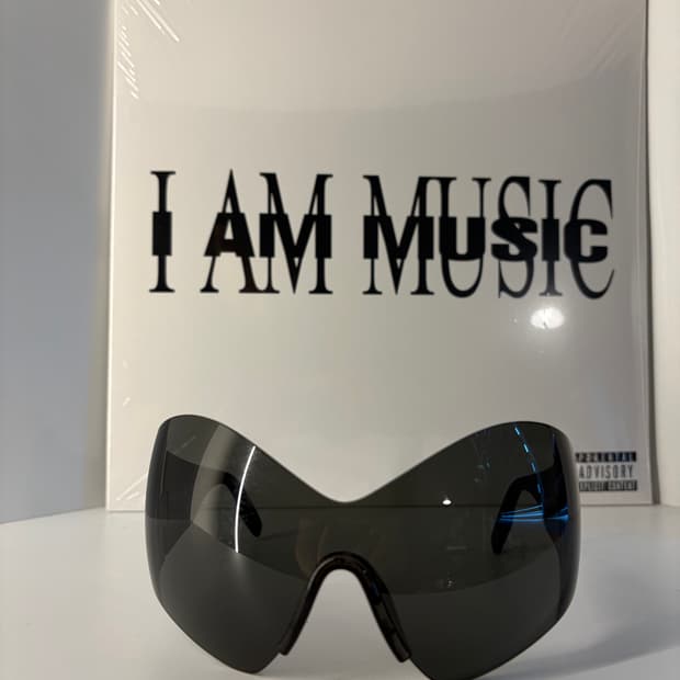 발렌시아가 버터플라이 썬글라스 (단품)