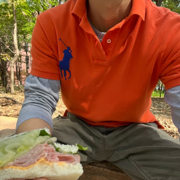 폴로 빅포니 카라티 L 오렌지