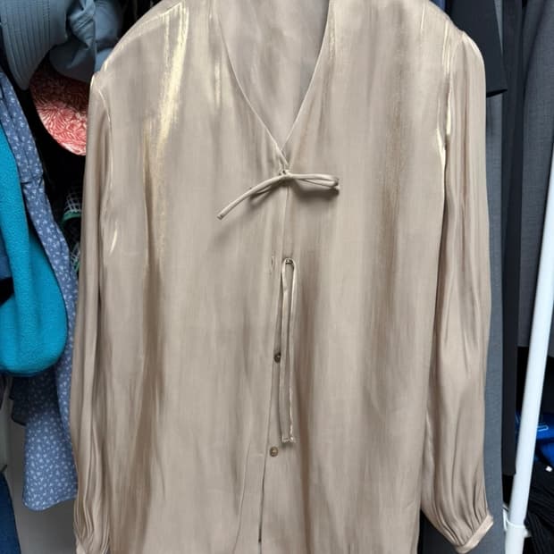 드래곤블루스 블라우스(오간자)