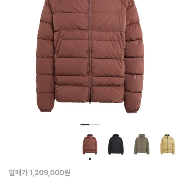 CP컴퍼니/에코크롬 시더우드/52