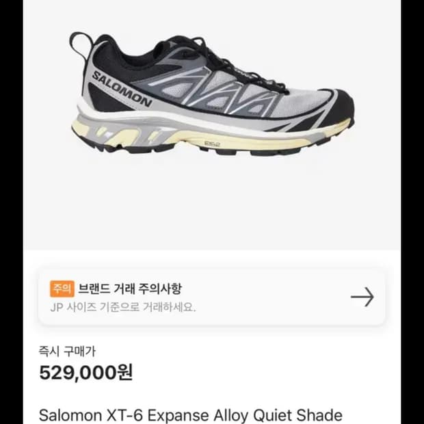 살로몬 xt-6 알로이 콰이엇 쉐이드 280