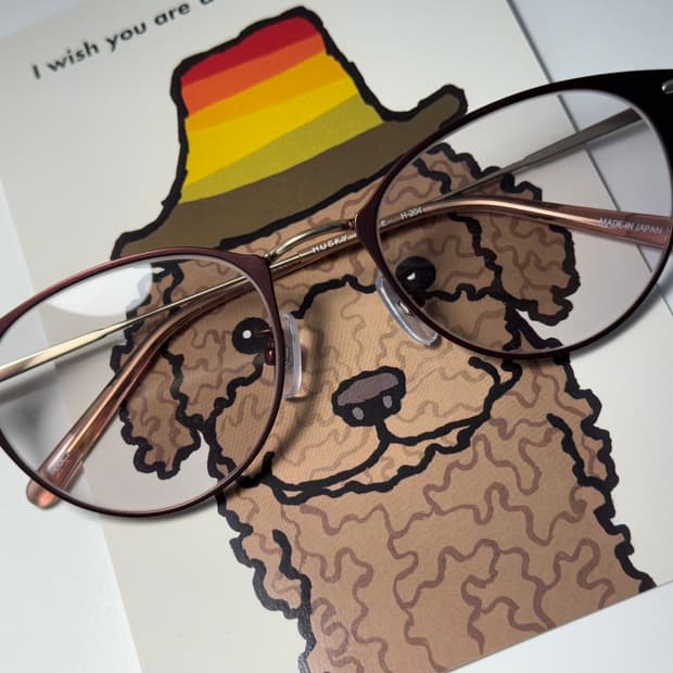 허스키 노이즈 HUSKY NOISE 일본 명품 티타늄 안경 0060