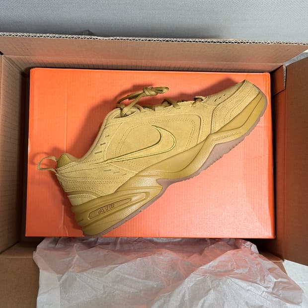 나이키 에어모나크 된장