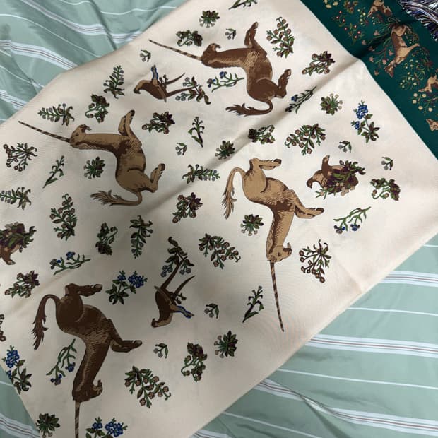 에임레온도르 드레익스 실크 스카프