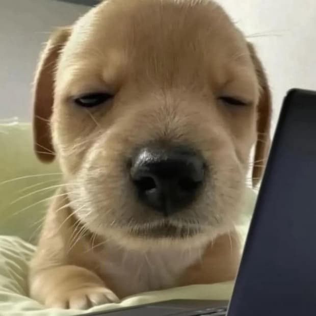 구해요) 아이폰7 실버 128기가