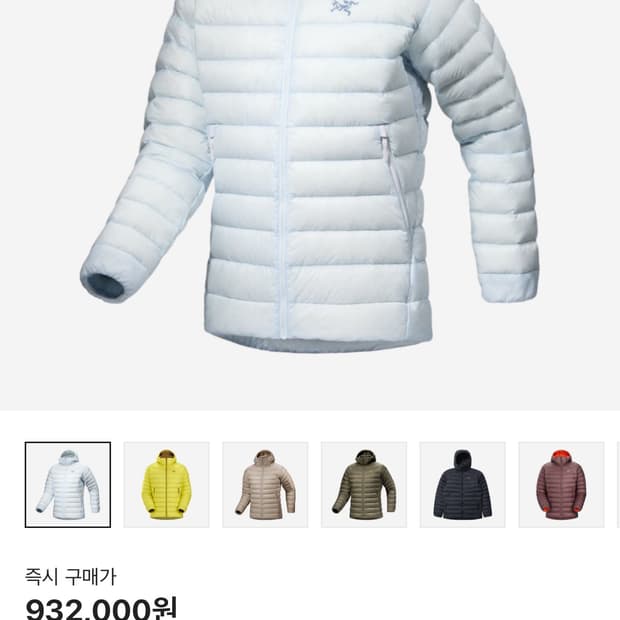 아크테릭스 세륨 후디 데이브레이크 XL