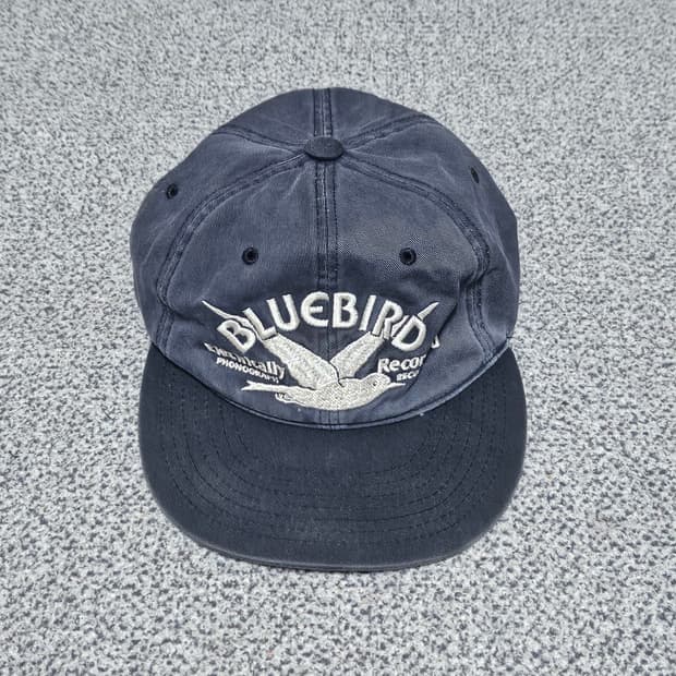 도넛리벤지 블루버드 캡