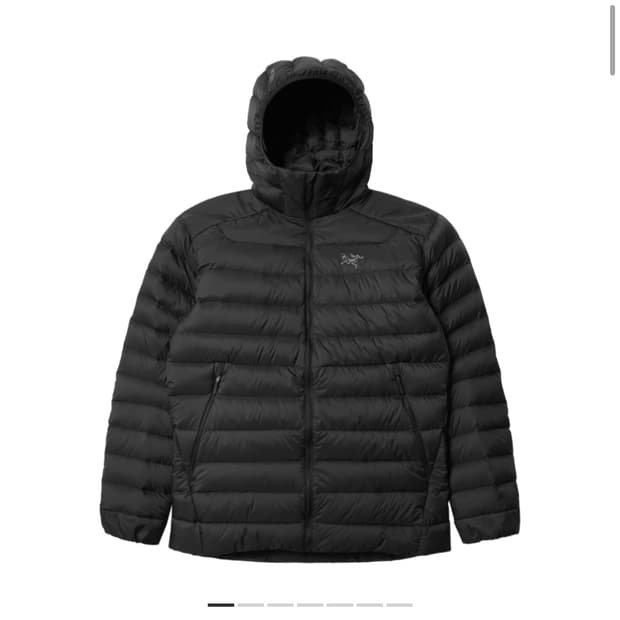 아크테릭스 세륨 후디 블랙 S