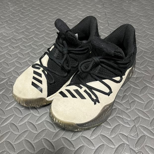 [235] 아디다스 크레이지 익스플로시브 로우 데이원