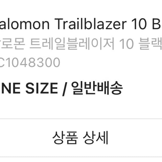 살로몬 트레일블레이저 10 블랙