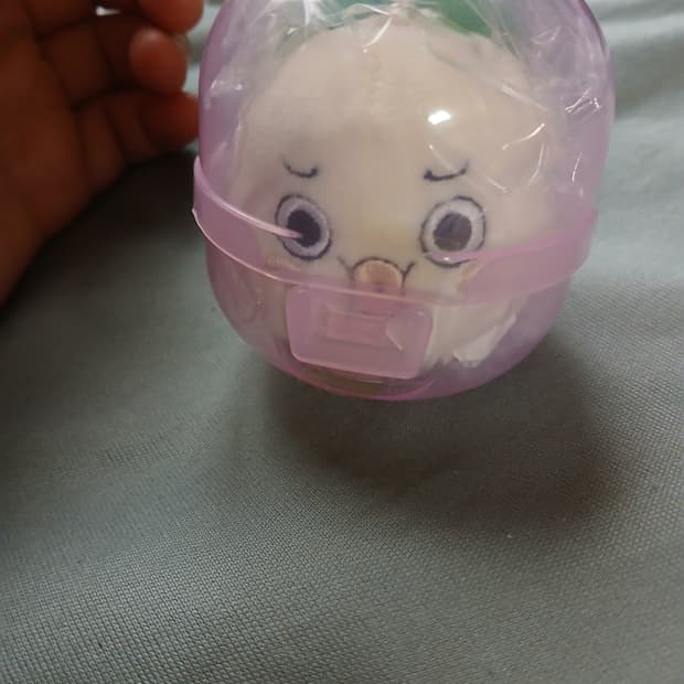 복어 양파 쿵야 팝니다