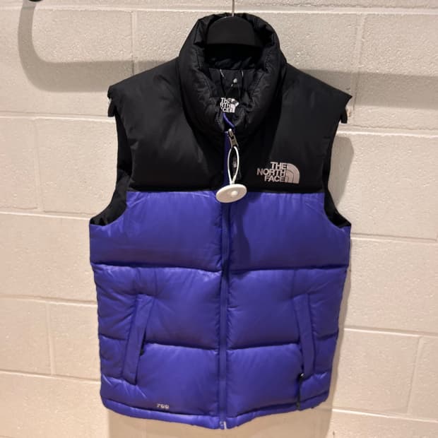 The North Face 700 Goose Down Vest