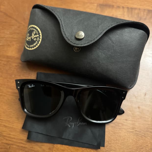 레이벤 웨이페어러 리버스