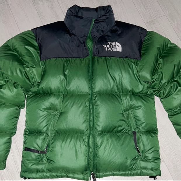 노스페이스 700 눕시 구스 다운 패딩 연그린