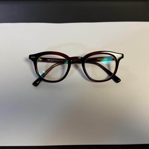 젠틀몬스터 데이 (brown)