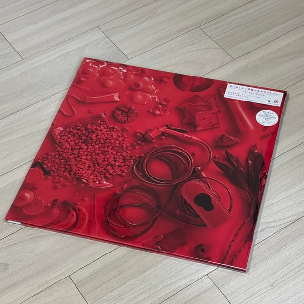 아이묭 10주년 기념 1집 청춘의 익사이트먼트 컬러 LP