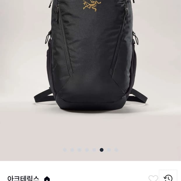 아크테릭스 맨티스 26