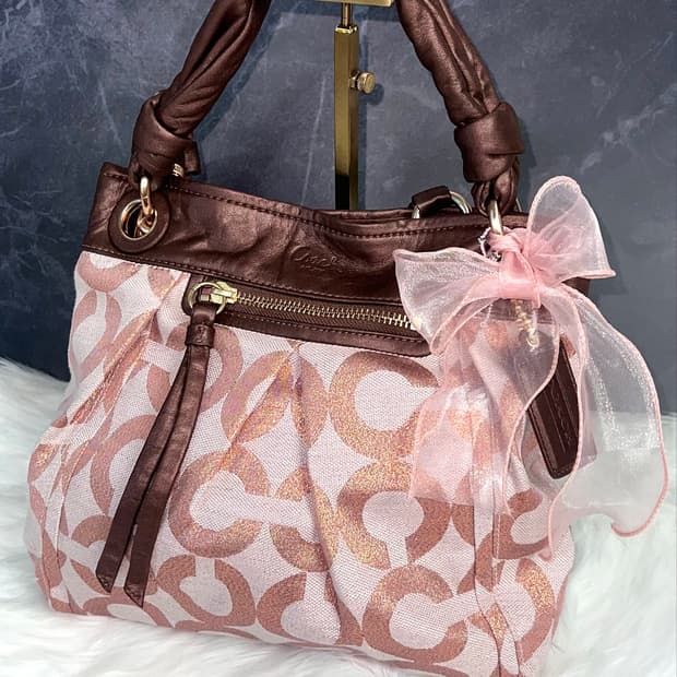 90s Coach Chocolate Rose Gold Signature