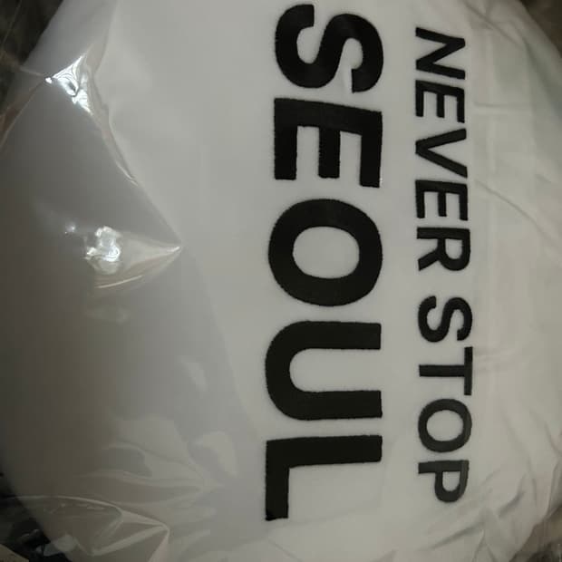 노스페이스 쿠션팝니다 