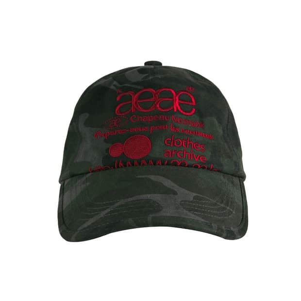 AEAE WEB LOGO CAMO 5 PANNEL CAP 카모 모자 볼캡